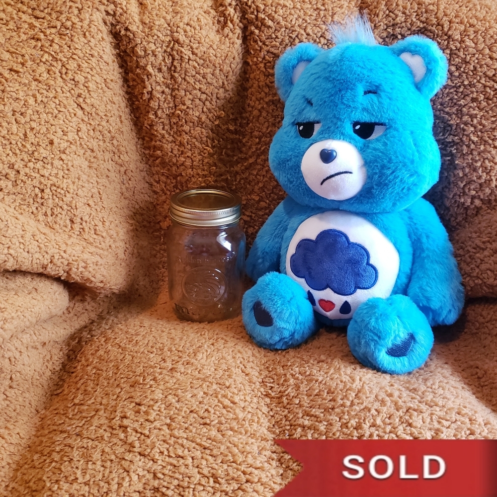 🚫SOLD🚫Grumpy Bear Care Bear Plush Stashimal Stash Jar